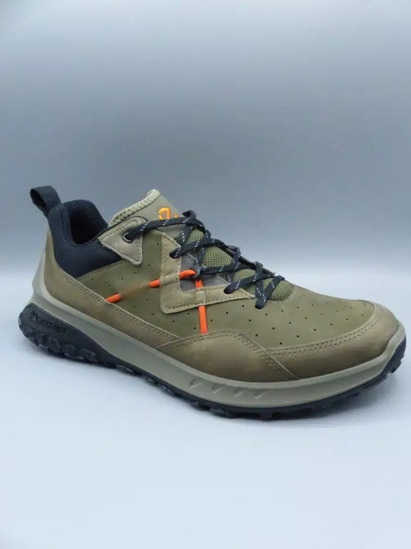 Chaussure de marche ECCO 824264